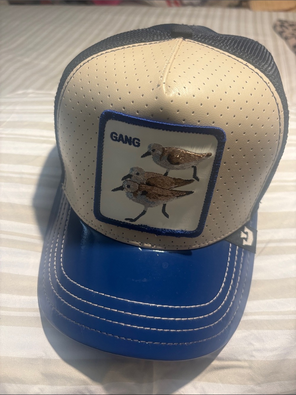 Blue Gang Snap Hat